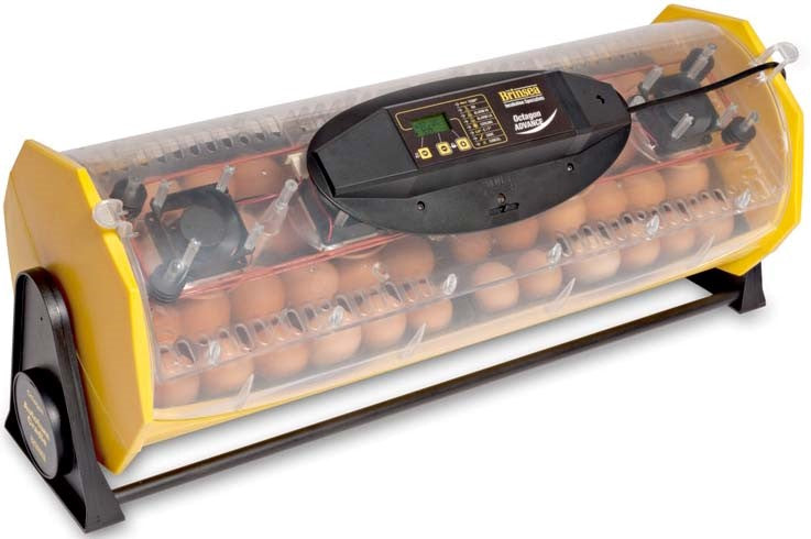 ВОСЬМИУГОЛЬНИК 40