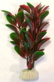 PLASTIC PLANT AP 022