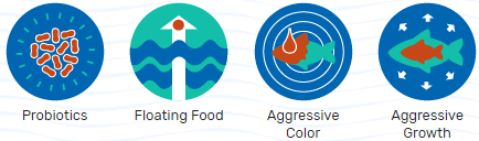 ΚΙΧΛΙΔΑ ΒΙΟ-ΧΡΥΣΟΣ