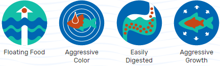 ЦИХЛИДА EXCEL МИНИ