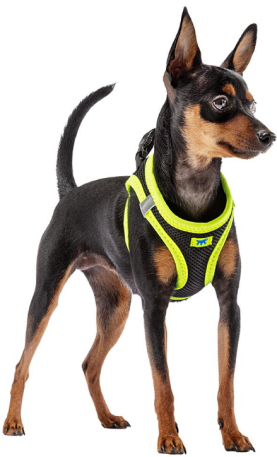 KAORI DOG HARNESS YELLOW