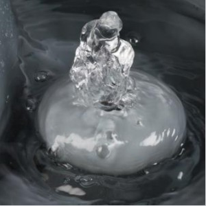 PET FOUNTAIN EYENIMAL