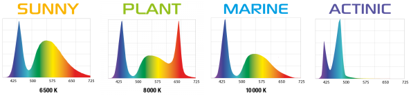 ΕΓΚΑΤΑΣΤΑΣΗ ΜΕΤΑΞΥΤΟΠΟΙΗΣΗΣ ΣΩΛΗΝΩΝ LEDDY
