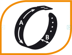 СПОРТИВНЫЙ ОШЕЙНИК ДЛЯ СОБАК СИНИЙ