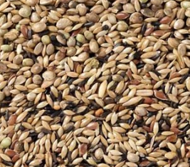 80-ΚΑΝΑΡΙΑ ΜΙΓΜΑ ΕΚΤΡΟΦΗΣ 20KG