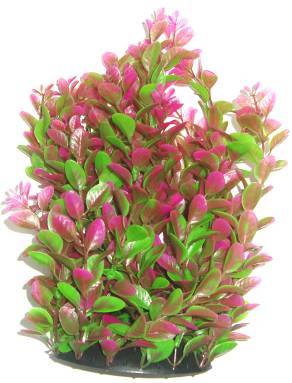 PLASTIC PLANT PURPLE 30cm