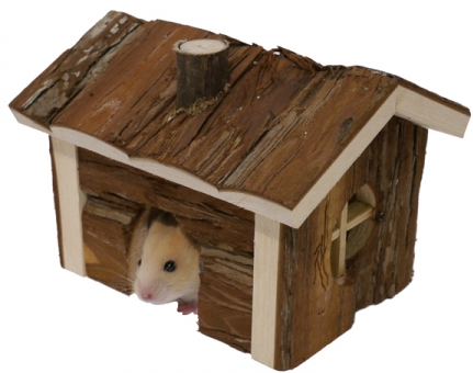 ДОМИК В ЛЕСУ ХОМЯКА