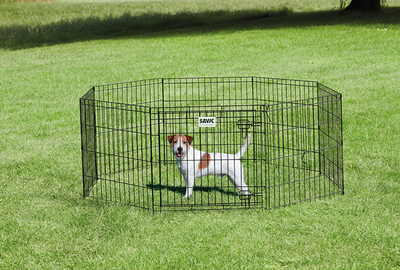 ПЛОЩАДКА ДЛЯ СОБАКИ В ПАРКЕ