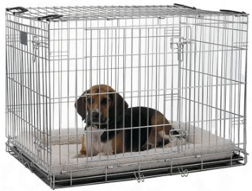 CUSHION FOR RESIDENCE