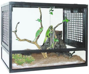 TERRARIUM PT