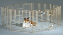 SOLVING PARK FOR CATS AND DOGS WITH DOOR