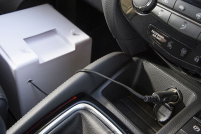 ОТДЕЛЕНИЕ ИНТЕНСИВНОЙ УХОДА ЗА ЖИВОТНЫМИ