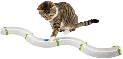 ΚΥΚΛΩΜΑ ΤΟΜΠΟΓΚΑ