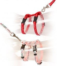CAT HARNESS-LEAD LOVE