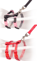 НАБОР ДЛЯ ПРОГУЛОК КОТЕНКА SHITE DOTS ЧЕРНЫЙ/КРАСНЫЙ