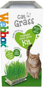 WEBBOX CAT GRASS