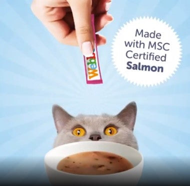 WEBBOX LICK-E-LICIOUS SALMON CAT TREATS 4x20G