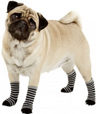 PET SOCKS (4 pieces)