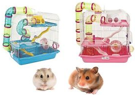 ΚΛΟΥΒΙ ΧΑΜΣΤΕΡ