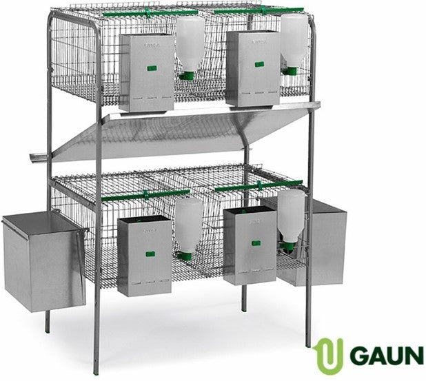 CASTILLA 2 ЭТАЖ 2 ГНЕЗДО 2 КОРМУШКА