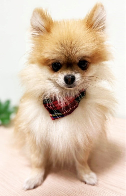 ШАРФ NO LIMIT TEFLON КРАСНЫЙ/ЧЕРНЫЙ