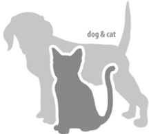 PAW PROTECTOR XS 1 ΤΕΜ