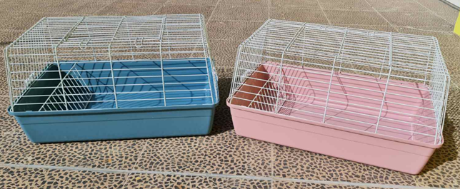 ΚΛΟΥΒΙ ΚΟΥΝΕΛΙΟΥ R2