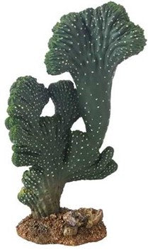 CACTUS VICTORIA 2 22cm