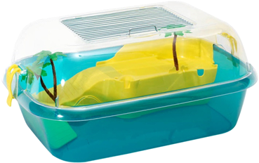 TURTLE TANK