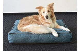 CUSHION SNOOZBAY RECTANGLE TURQUOISE + ZIPPER