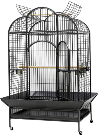 PARROT CAGE