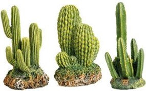 DECORATION CACTUS ASSORTED X1
