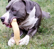 КОНГ ЧЬЮСТИКС