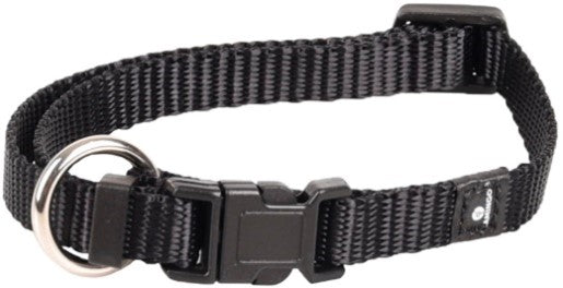 ZIGGI DOG COLLAR BLACK