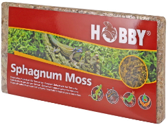 SPHAGNUM MOSS