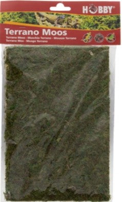TERRANO MOSS