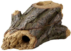 WOOD CAVE 2