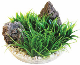 АРИЗОНА ВИВАРИУМ