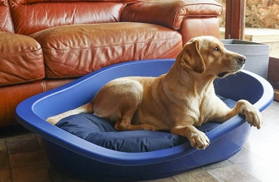 ПРОЧНЫЙ И Грязный МАТРАС