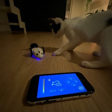 МЫШЬ RACE'N CHASE БЕЛАЯ