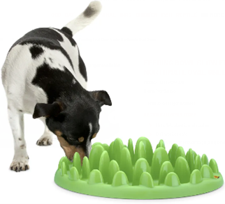 BOWL SLOW FEEDER NORTHMATE OVAL GREEN