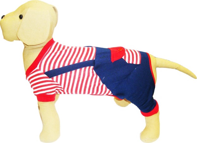 СОБАКА КРАСНАЯ ПИЖАМКА