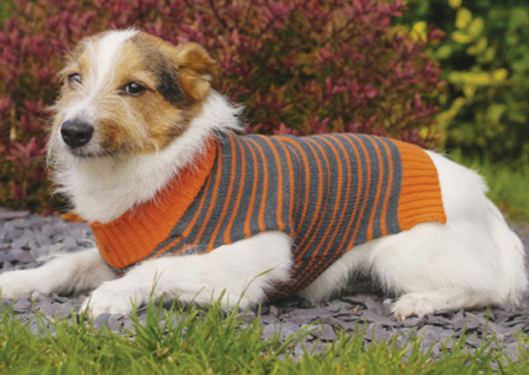 DOG SWEATER STRIPE 46CM