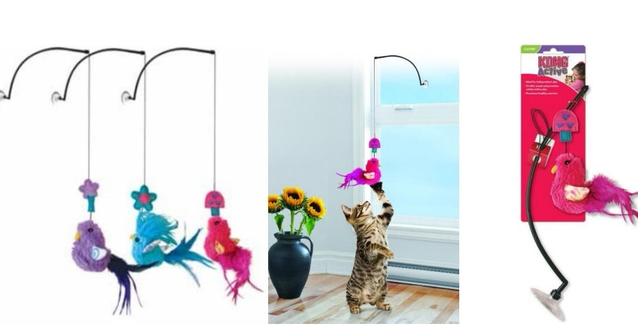 KONG CAT WINDOW TEASER