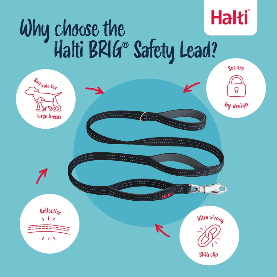 HALTI BRIG DOG LEAD
