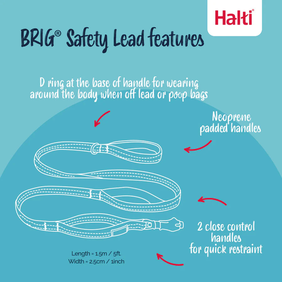 HALTI BRIG DOG LEAD
