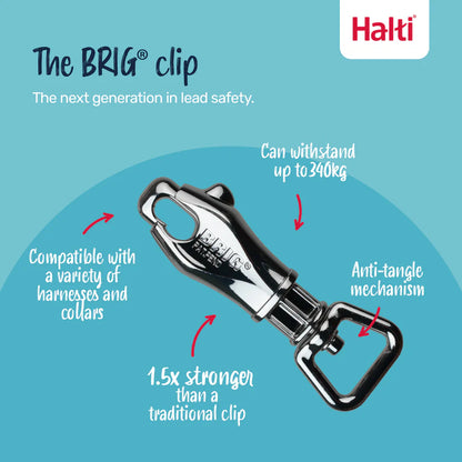 HALTI BRIG DOG LEAD