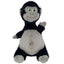 KONG KNOTS BELLY