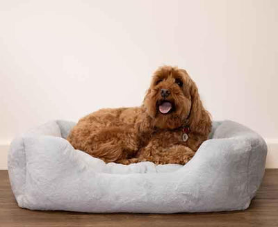FUR BLUE BOX BED