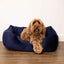 VELVET NAVY BOX BED